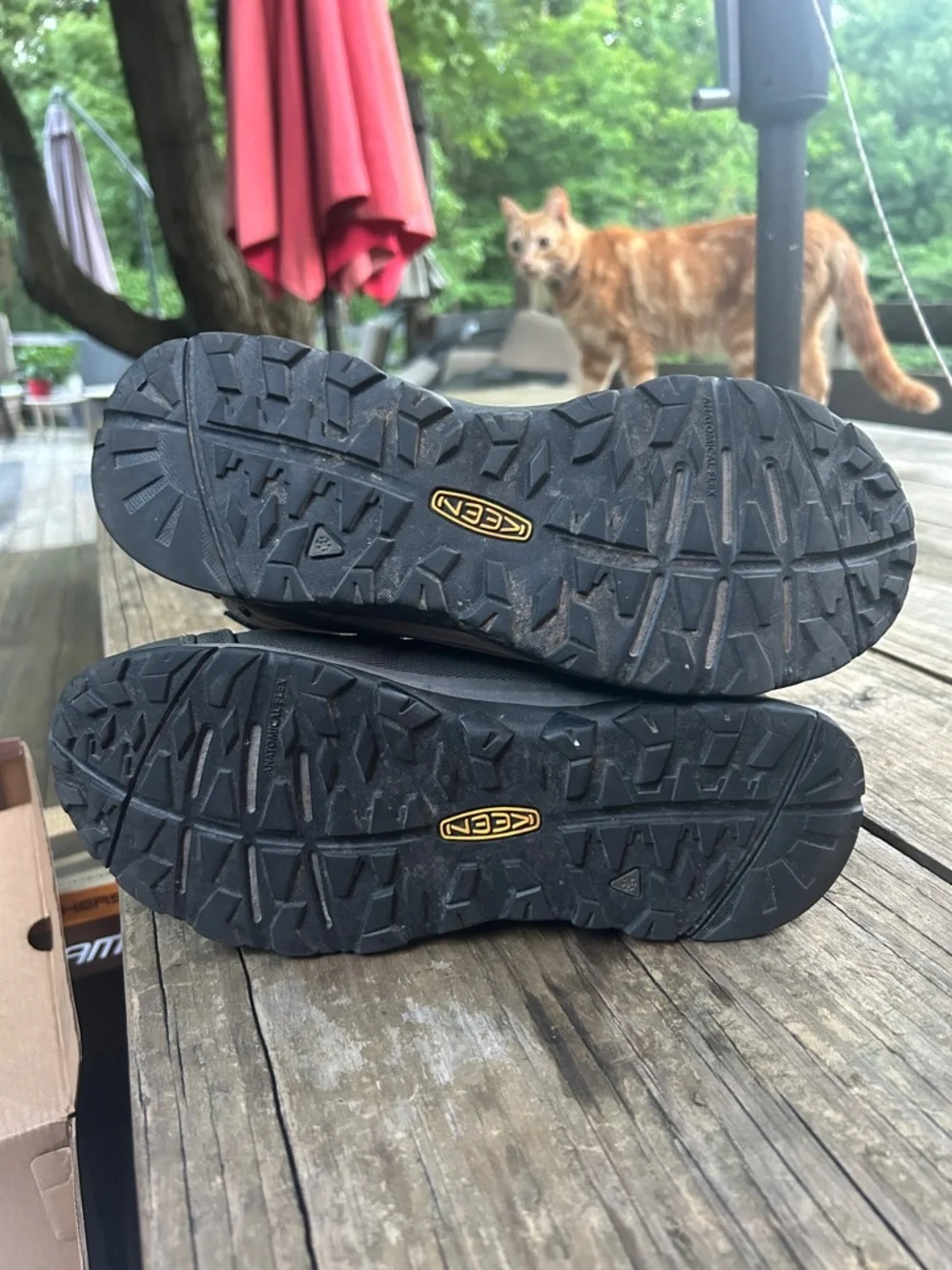 Keen Terradora ll winter boots